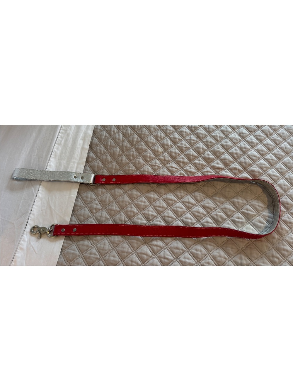 Finn + Me Lipstick Red Leather Dog Leash